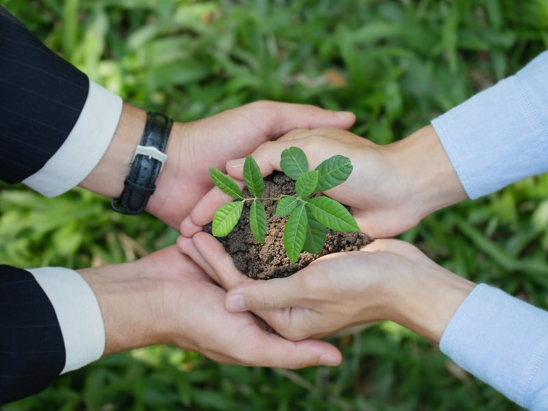 Czy wydatki na zieleń wokół siedziby firmy stanowią koszty reprezentacji?